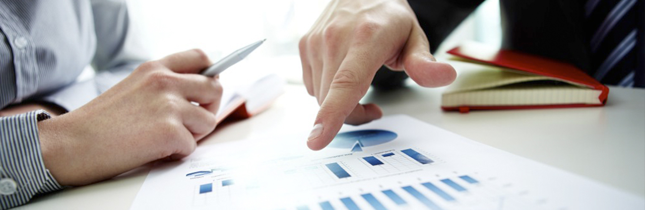 Colleagues analysing financial reports